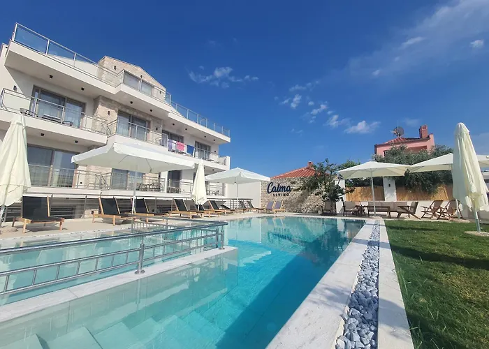 Calma Living * ポトス