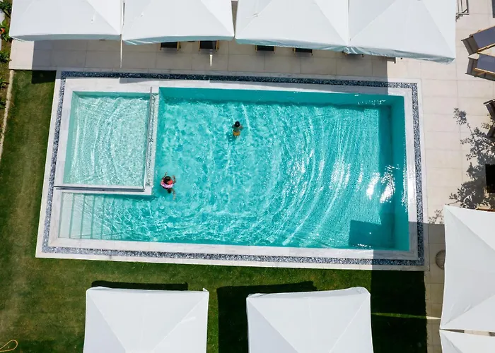 Calma Living * ポトス