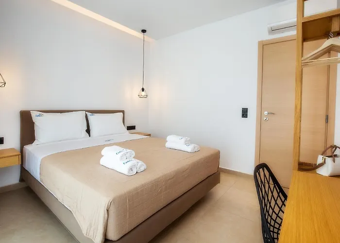 Calma Living Hotel Potos