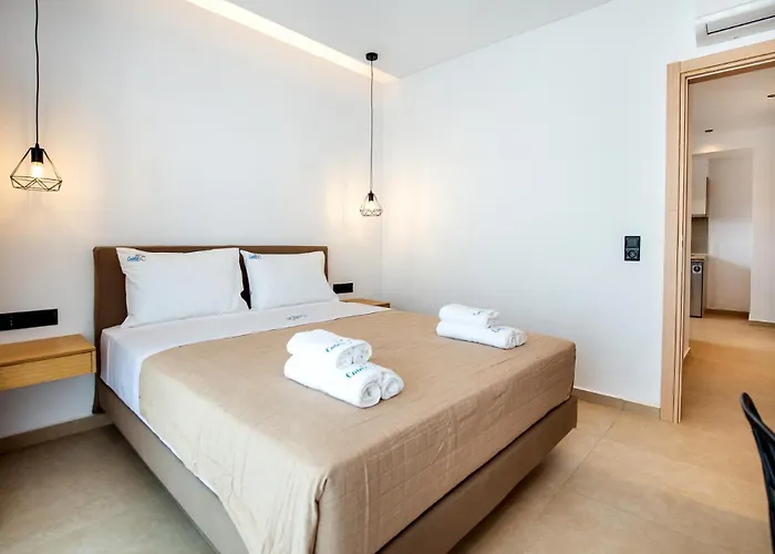 Hotel Calma Living Potos