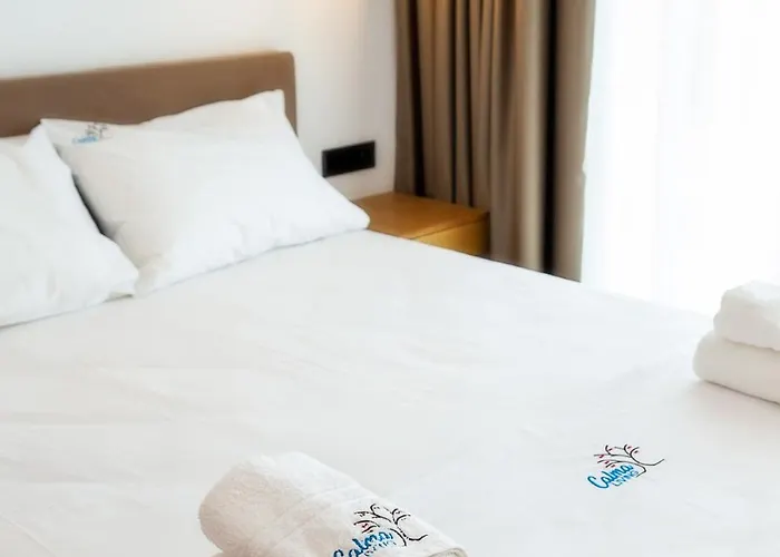 Calma Living ポトス